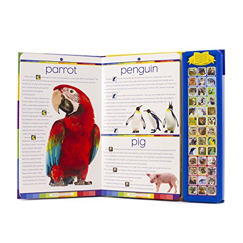 Libro Cuento Enciclopedia Britannica Kids Animal con sonido tesoros