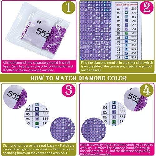5D DIY Pintura diamante por número Kit para adulto, 12 x 16 inches/30 x 40cm. Tema de Aurora