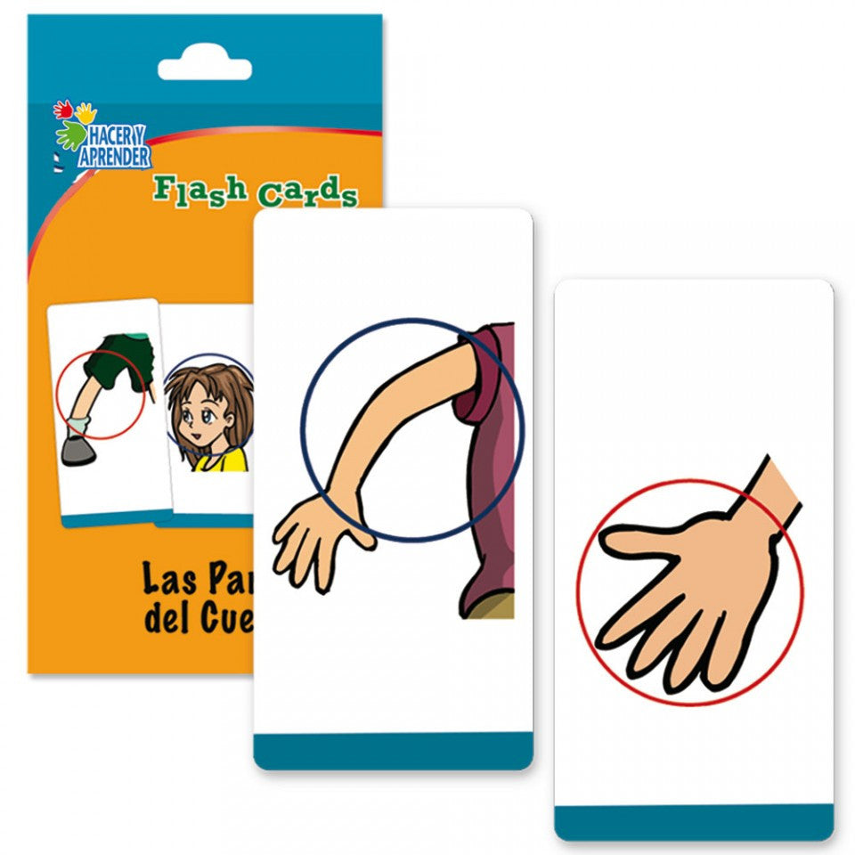 FLASH CARDS PARTES DEL CUERPO - Ivanna & Pau - Juguetes, material didactico y productos para niños y el bienestar familiar