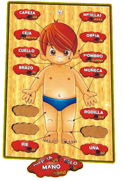 ROMPECABEZAS PARTES DEL CUERPO NIÑO - Ivanna & Pau - Juguetes, material didactico y productos para niños y el bienestar familiar